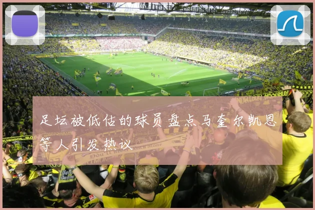 足坛被低估的球员盘点马奎尔凯恩等人引发热议